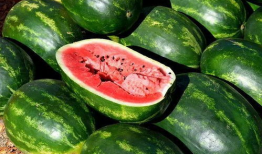 西安最新吃瓜爆料汇总,街头巷尾热辣事件大盘点