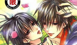 bl漫画 日本,日本耽美文化的璀璨瑰宝